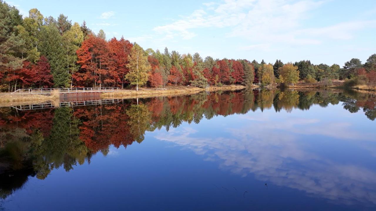 Naturhotel Hof Ehlers Bergen  Exteriör bild