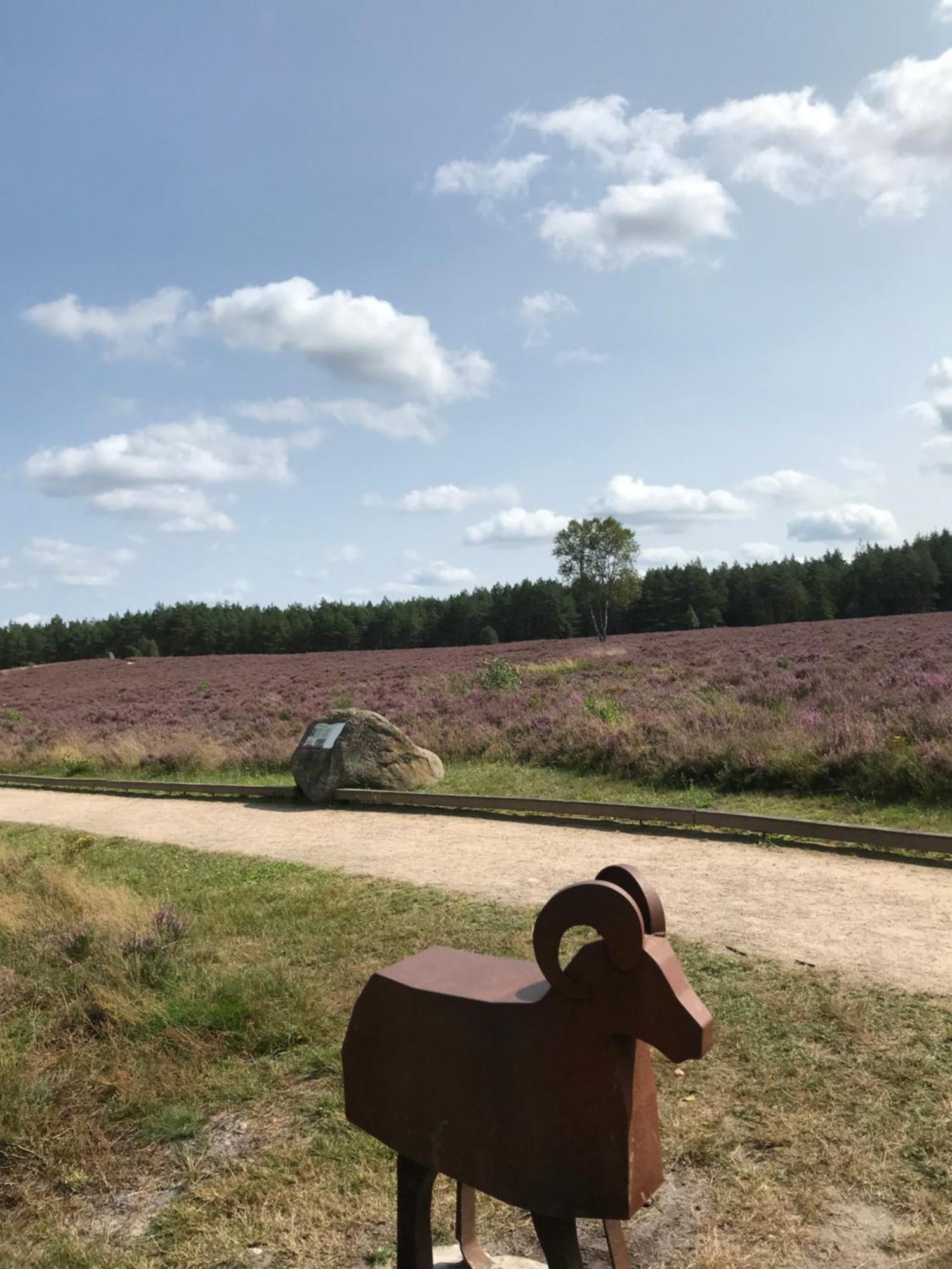 Naturhotel Hof Ehlers Bergen  Exteriör bild